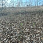 Property photo for land for sale in Shelby County Alabama