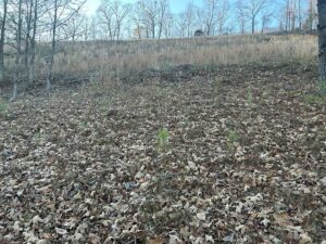 Property photo for land for sale in Shelby County Alabama