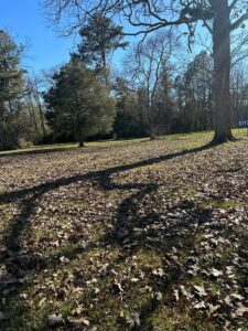 Property photo for land for sale in Lincoln County Mississippi