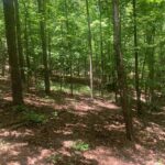 Property photo for land for sale in Marion County Arkansas