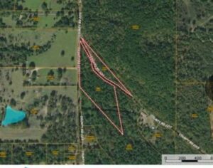 Property photo for land for sale in Morris County Texas