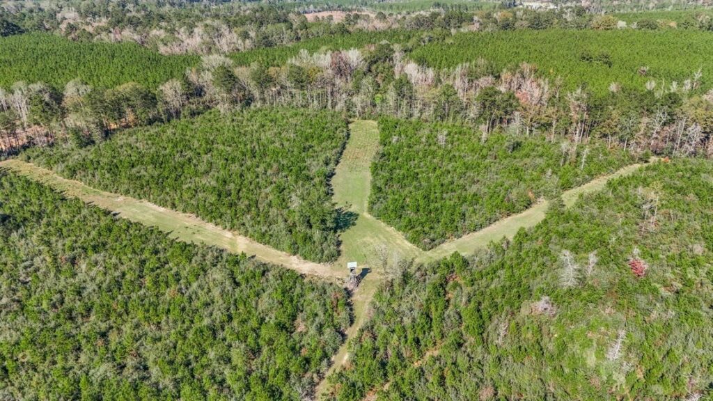 Property photo for land for sale in Amite County Mississippi