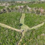 Property photo for land for sale in Amite County Mississippi