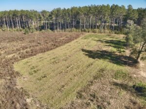 Property photo for land for sale in Geneva County Alabama