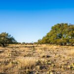 Property photo for land for sale in Real County Texas