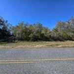 Property photo for land for sale in Lafayette County Florida