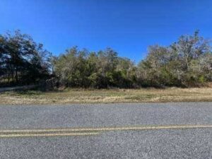 Property photo for land for sale in Lafayette County Florida