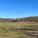 Property photo for land for sale in Stoddard County Missouri