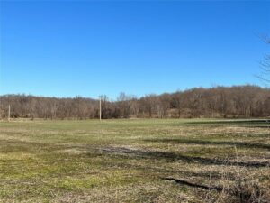 Property photo for land for sale in Stoddard County Missouri