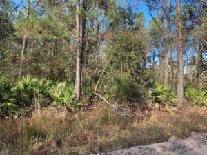 Property photo for land for sale in Hamilton County Florida