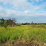 Property photo for land for sale in  County Panama