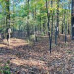 Property photo for land for sale in Izard County Arkansas