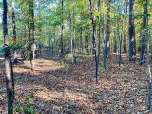 Property photo for land for sale in Izard County Arkansas