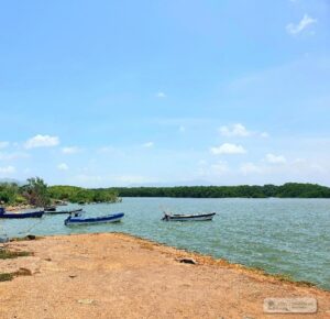 Property photo for land for sale in  County Panama