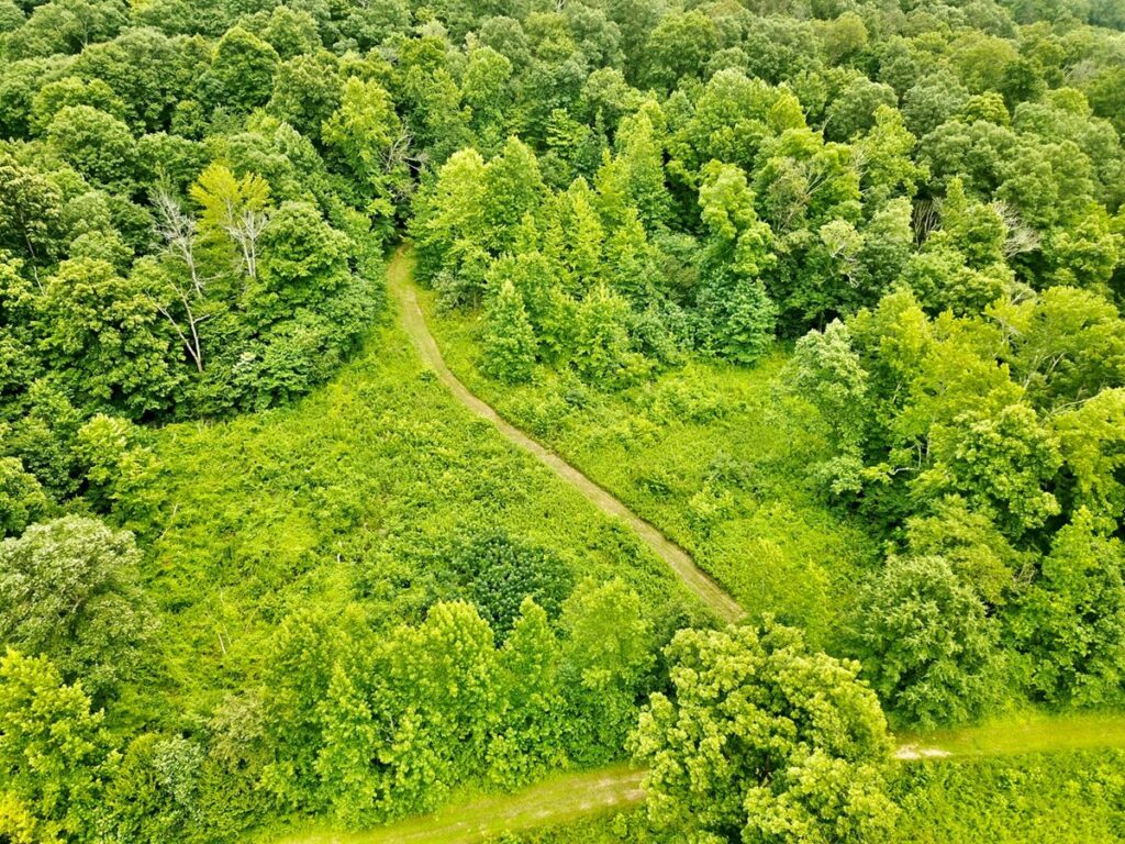 Property photo for land for sale in Perry County Indiana