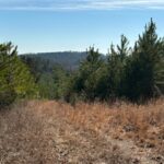 Property photo for land for sale in Rhea County Tennessee