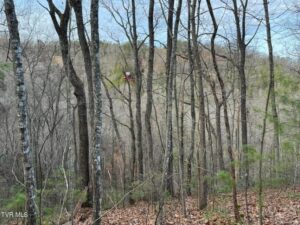 Property photo for land for sale in Sevier County Tennessee