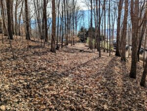 Property photo for land for sale in Pulaski County Virginia