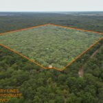 Property photo for land for sale in Lamar County Texas