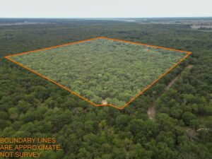 Property photo for land for sale in Lamar County Texas