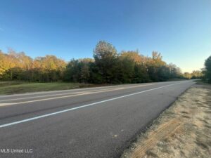 Property photo for land for sale in Hinds County Mississippi