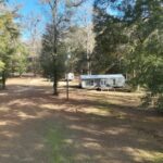 Property photo for land for sale in Geneva County Alabama