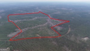 Property photo for land for sale in Warren County Georgia