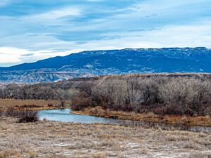 Property photo for land for sale in Delta County Colorado