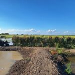 Property photo for land for sale in Chambers County Texas