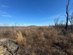 Property photo for land for sale in Pulaski County Missouri