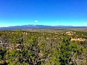 Property photo for land for sale in Torrance County New Mexico