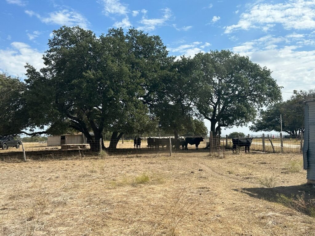 Property photo for land for sale in Coryell County Texas