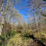 Property photo for land for sale in Waupaca County Wisconsin