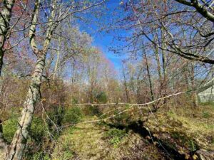 Property photo for land for sale in Waupaca County Wisconsin