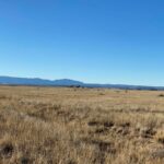 Property photo for land for sale in Torrance County New Mexico