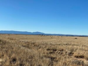 Property photo for land for sale in Torrance County New Mexico