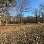 Property photo for land for sale in Madison County Tennessee