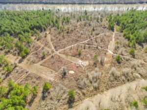 Property photo for land for sale in Catahoula County Louisiana