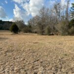 Property photo for land for sale in Pike County Alabama