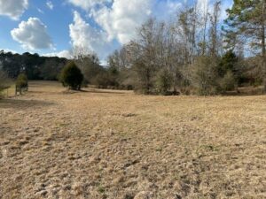 Property photo for land for sale in Pike County Alabama