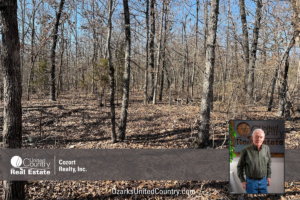 Property photo for land for sale in Fulton County Arkansas