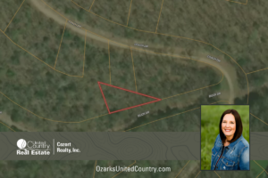 Property photo for land for sale in Taney County Missouri