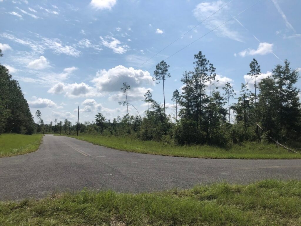 Property photo for land for sale in Suwannee County Florida