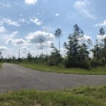 Property photo for land for sale in Suwannee County Florida