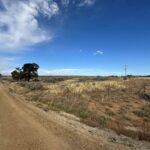 Property photo for land for sale in Montezuma County Colorado