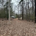 Property photo for land for sale in Ouachita County Arkansas