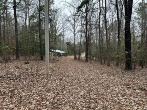 Property photo for land for sale in Ouachita County Arkansas