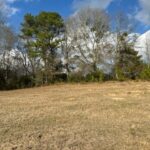 Property photo for land for sale in Pike County Alabama