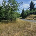 Property photo for land for sale in Clark County Washington