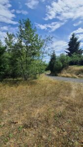 Property photo for land for sale in Clark County Washington